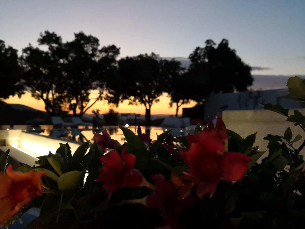 Villa Maria Dorgali Esterno foto