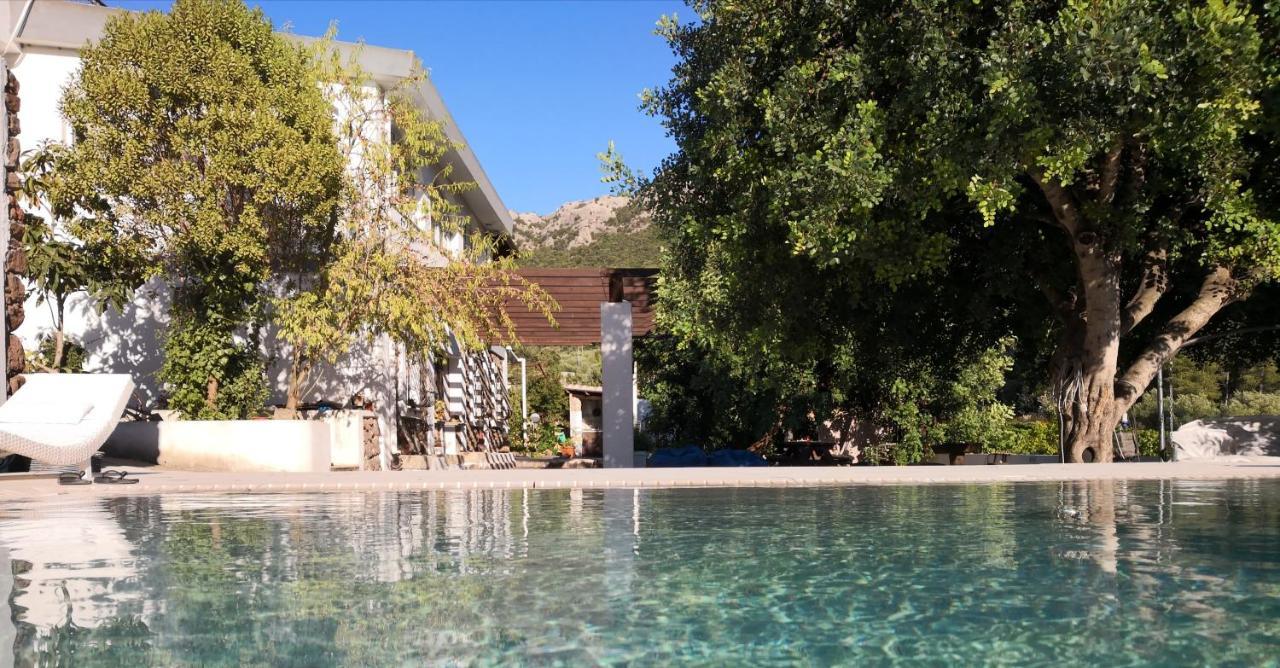 Villa Maria Dorgali Esterno foto