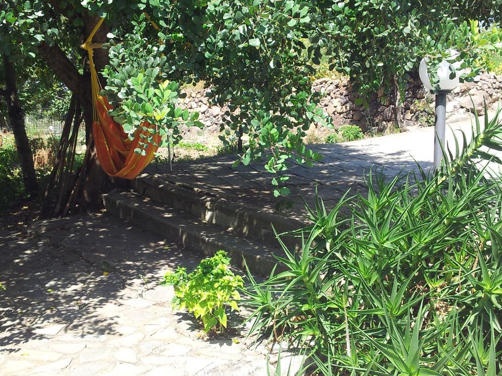 Villa Maria Dorgali Camera foto