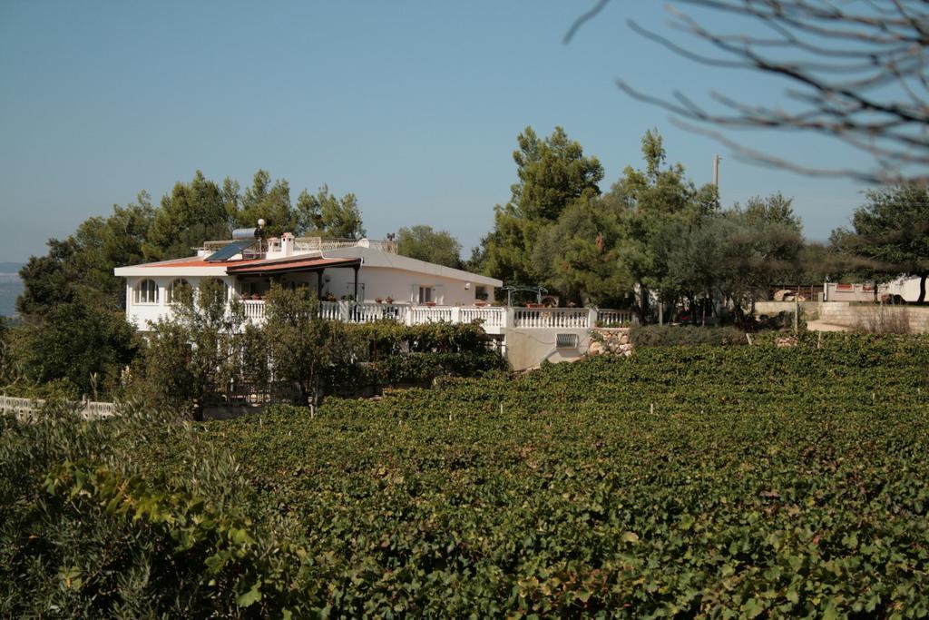 Villa Maria Dorgali Esterno foto