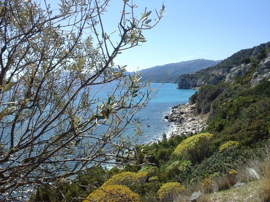 Villa Maria Dorgali Esterno foto