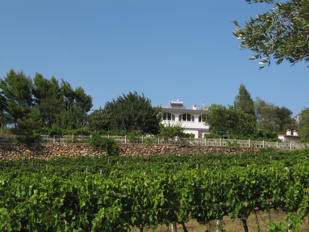Villa Maria Dorgali Esterno foto